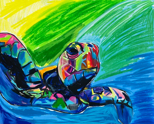 Colorful Turtle - Art Prints