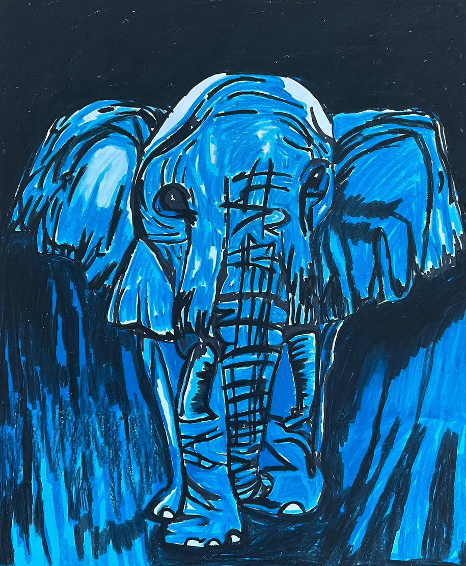 Baby Elephant - Art Prints