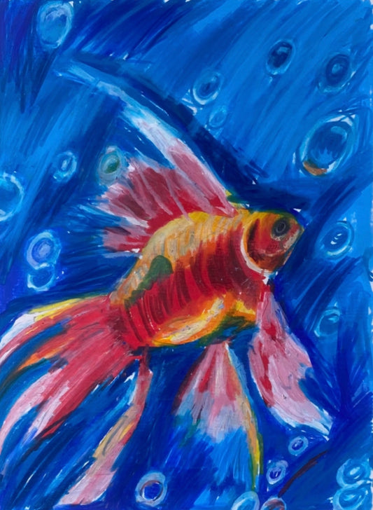 Goldfish - Art Prints