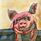 The Pig - Art Prints