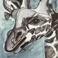 Jaffa the Giraffe - Art Prints