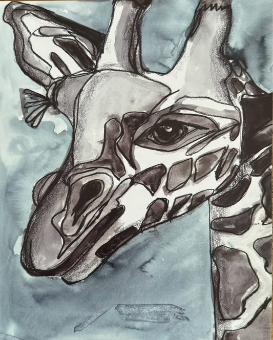 Jaffa the Giraffe - Art Prints