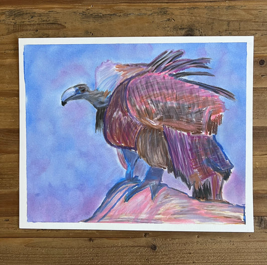 Vulture bird - ORIGINAL Oil Pastel art 14x17"