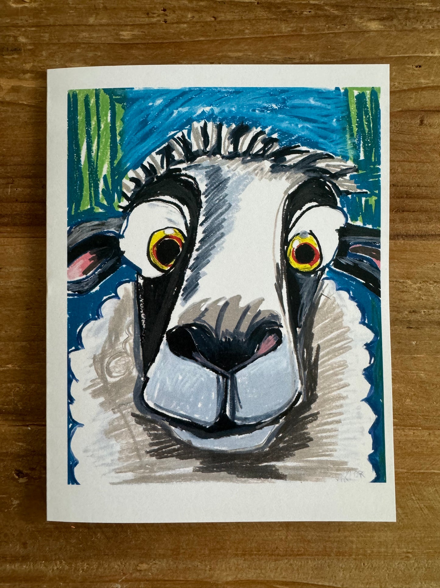 Creamy Puff Sheep - Greeting cards