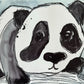 Giant Panda II - Art Prints