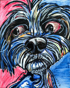 Sneaky Stanley - Art Prints