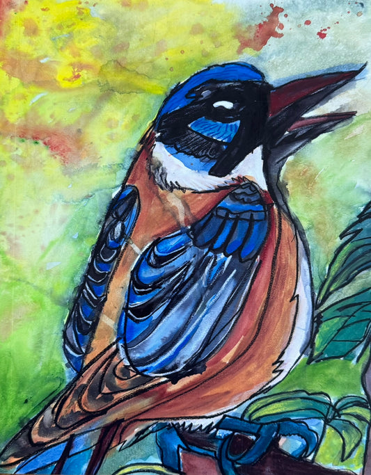 Watercolor Birds Collection II - Art Prints
