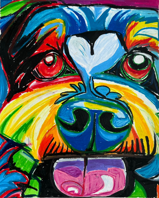 The Schnauzer Dog - Art Prints