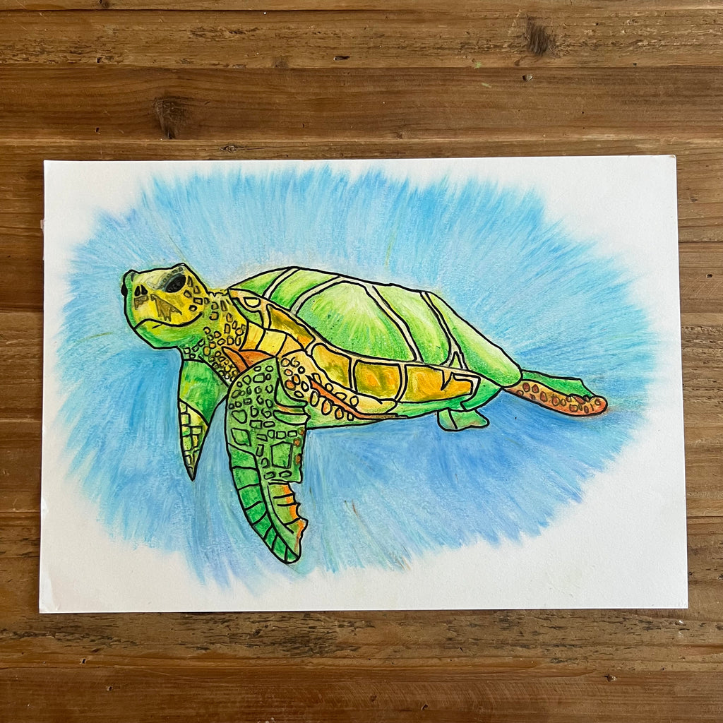 Original artwork by Danilo R. - guest artist