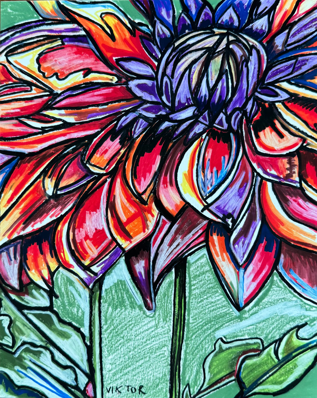 Dahlia - Art Prints