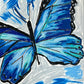 The Blue Butterfly - Art Prints