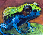 Watercolor Frog III - Art Prints