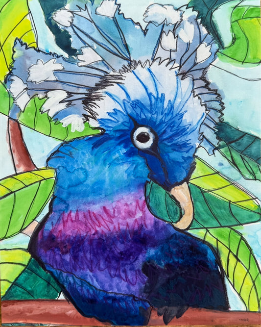 Blue Bird - Art Prints