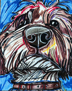 Desperado - Art Prints