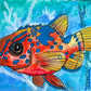 Red Fish - Art Prints