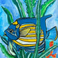 Blue Fish - Art Prints