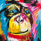 Monkey Collection: Monkey 1 - Art Prints