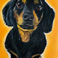 Mini Dachshund - Art Prints