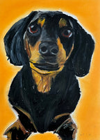 Mini Dachshund - Art Prints
