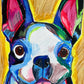 Boston Terrier - Art Prints