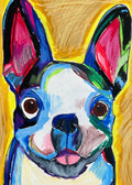 Boston Terrier - Art Prints
