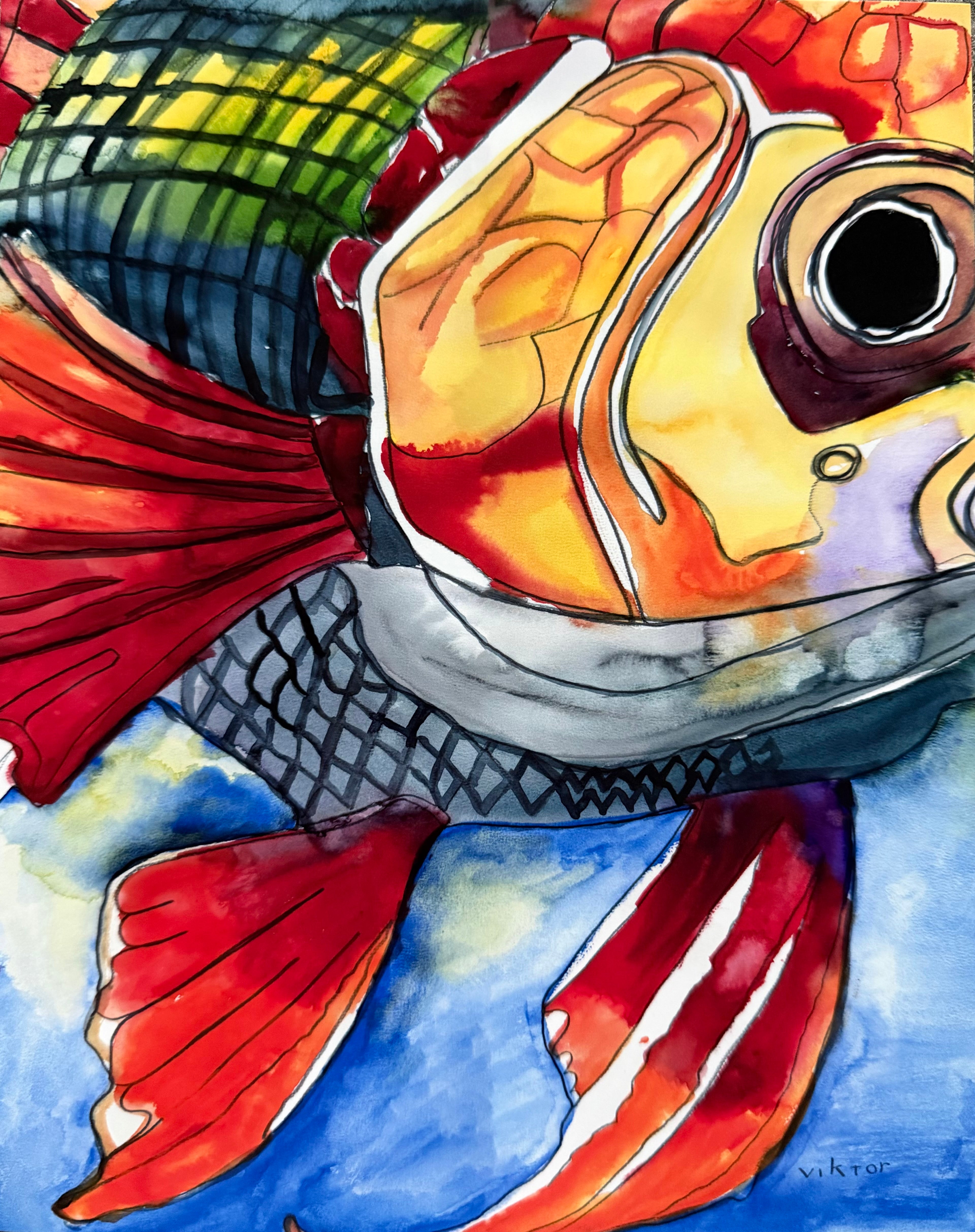 Rainbow Reef - Art Prints