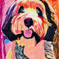 Bernedoodle - Art Prints