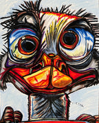 Colorful Ostrich - Art Prints