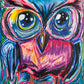 Owl-exander - Art Prints