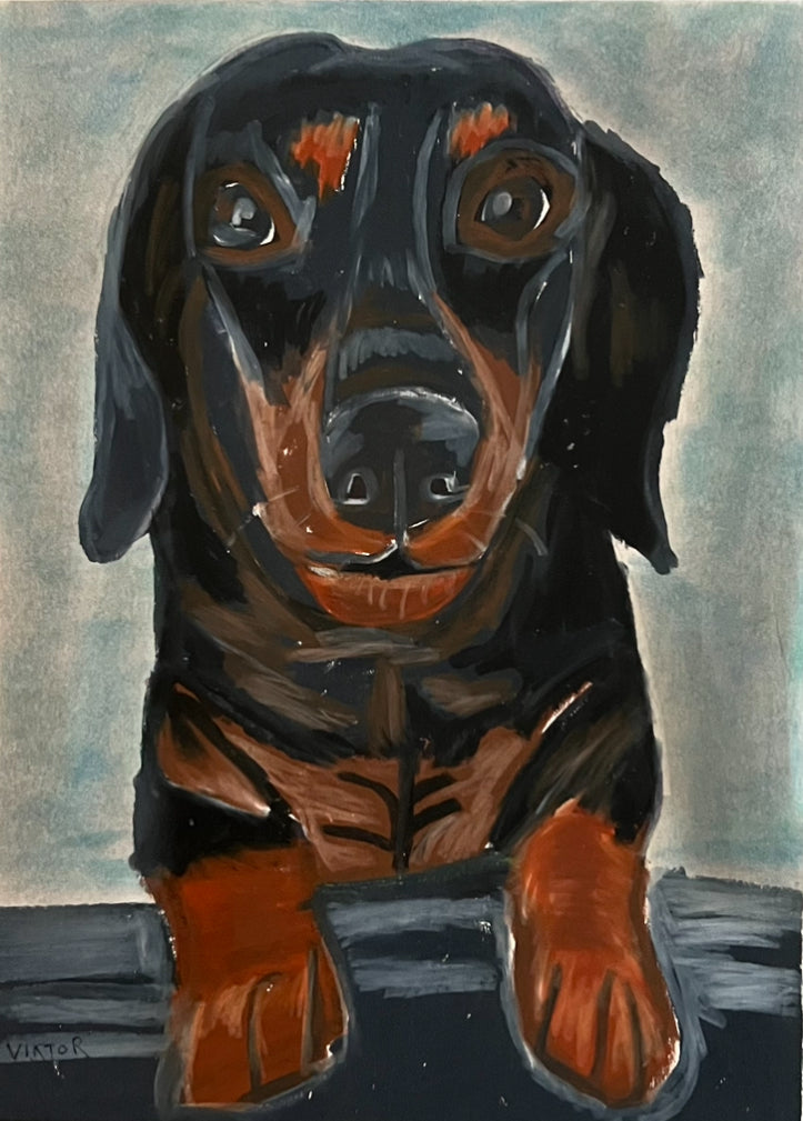 Black Dachshund - Art Prints