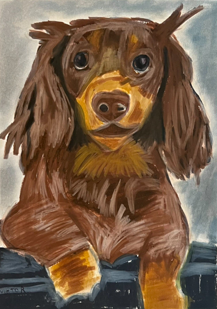 Chocolate Dachshund - Art Prints
