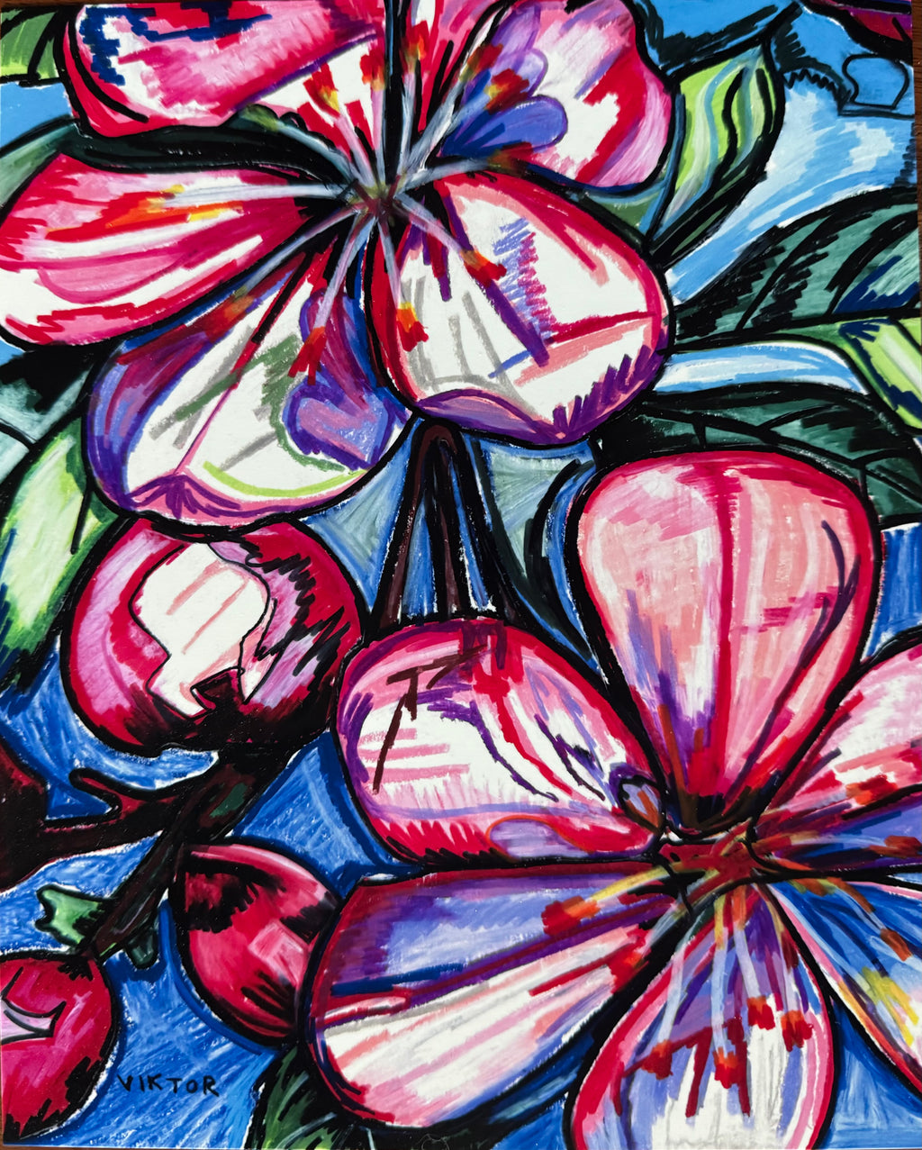 Pink Hibiscus - Art Prints