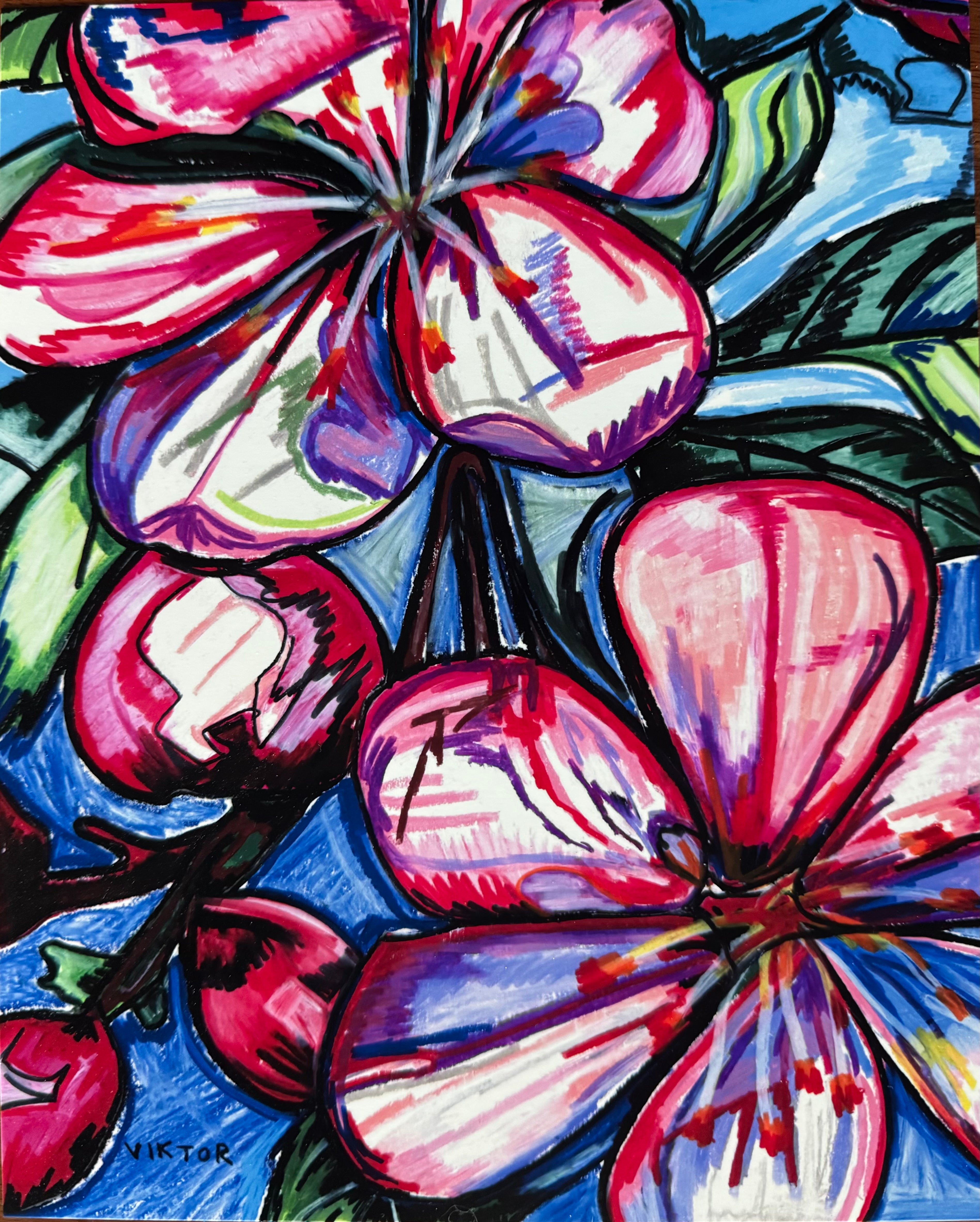 Pink Hibiscus - Art Prints