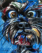 The Blue Schnauzer - Art Prints