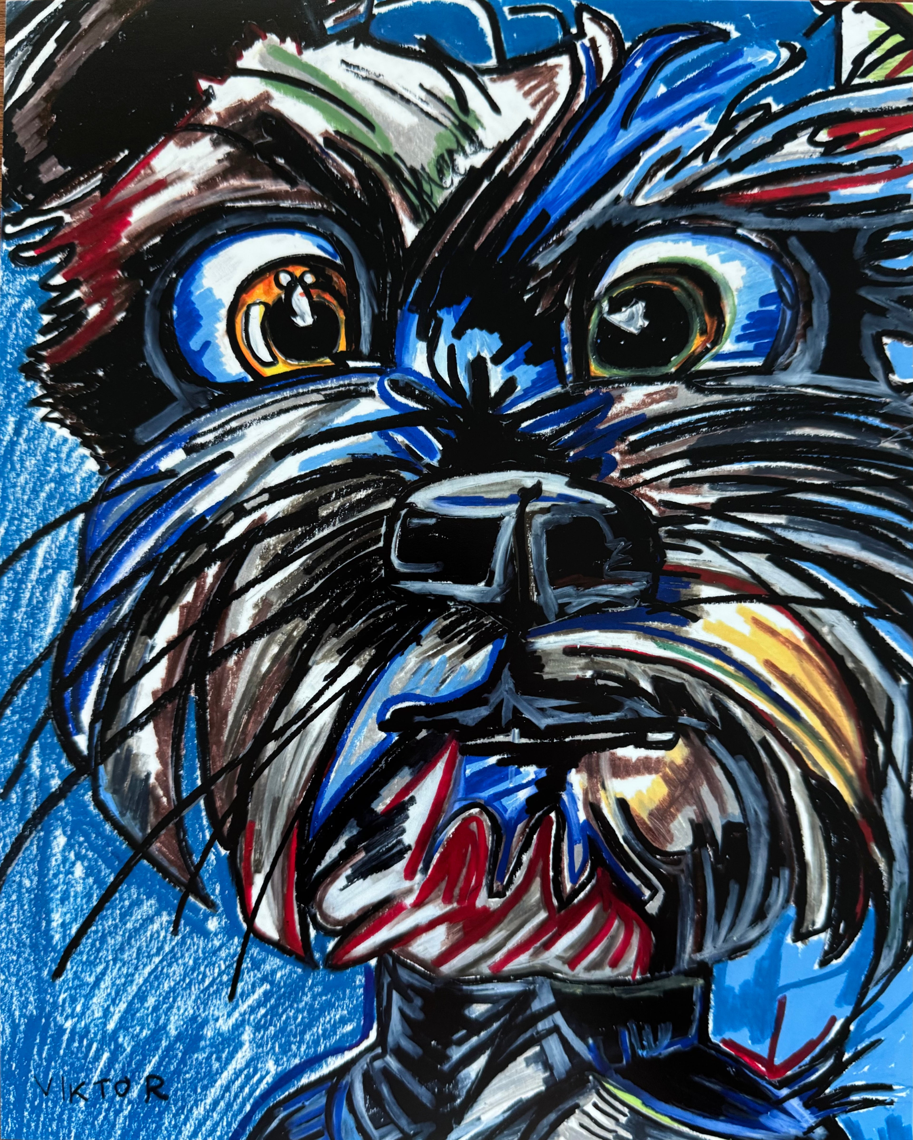 The Blue Schnauzer - Art Prints