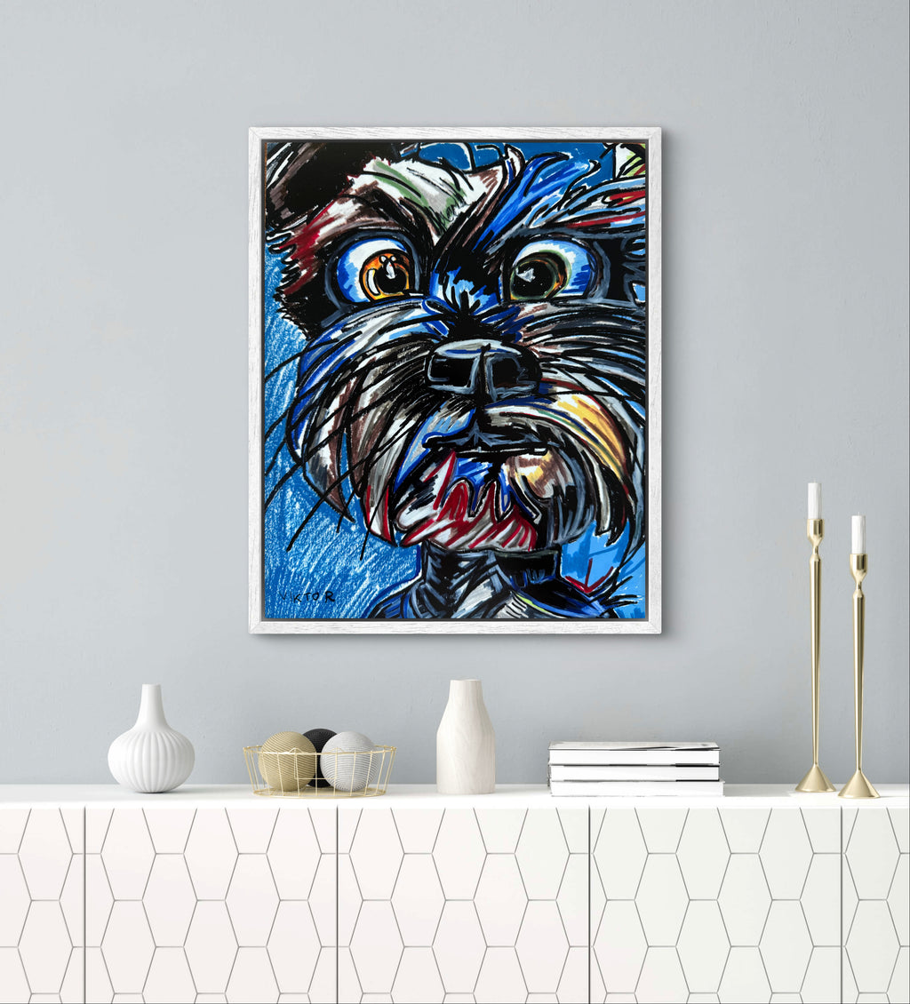 The Blue Schnauzer - Art Prints