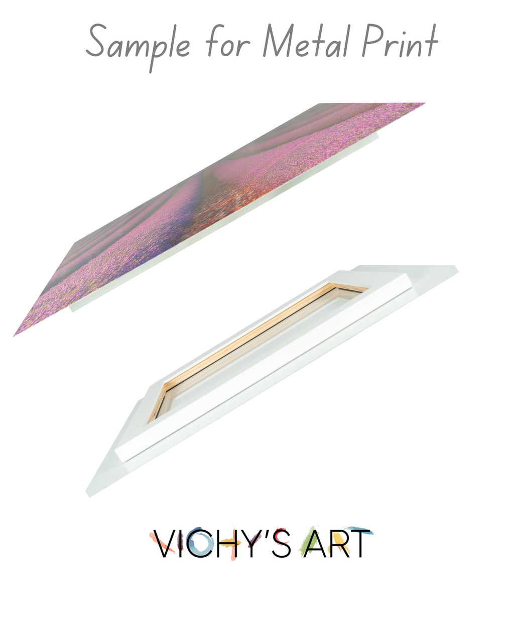 Purple Iris - Art Prints