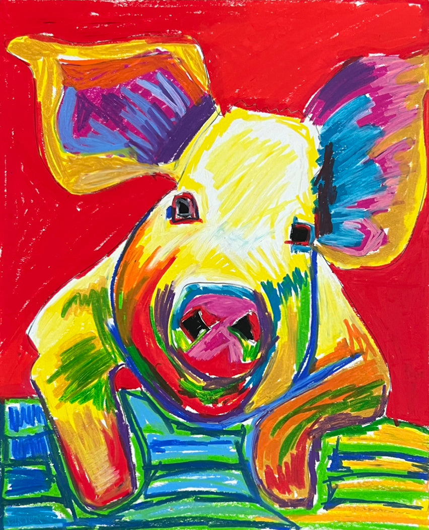 Colorful Pig  - fine prints and canvas prints in more size
