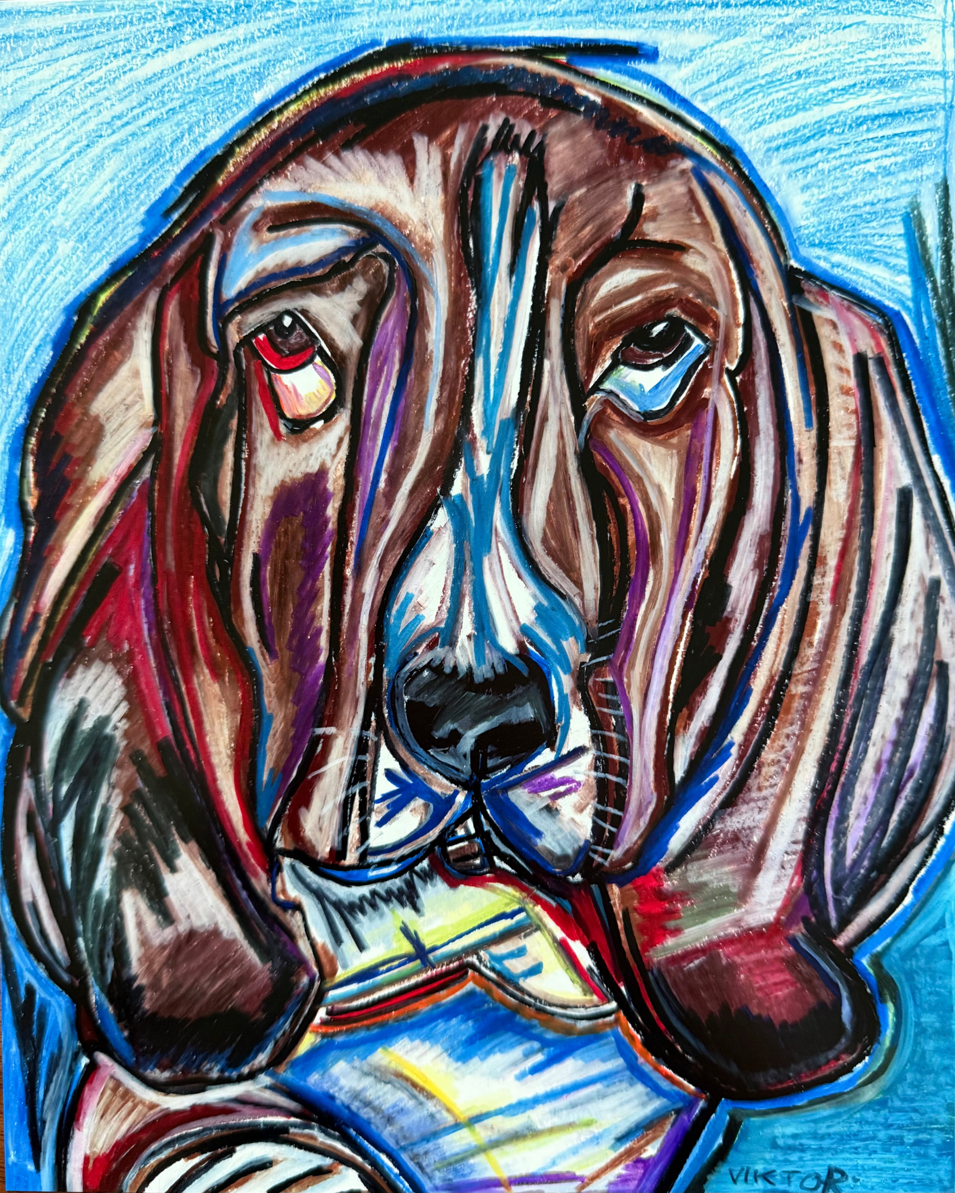 Izzy The Basset - Art Prints