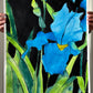 Wild Blue Iris - ORIGINAL Watercolor artwork 22x30”