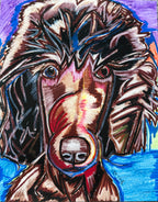 Standard Poodle - Art Prints