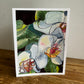 Beautiful Flowers - Greeting cards