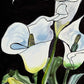 White Calla Lillies - Art Prints