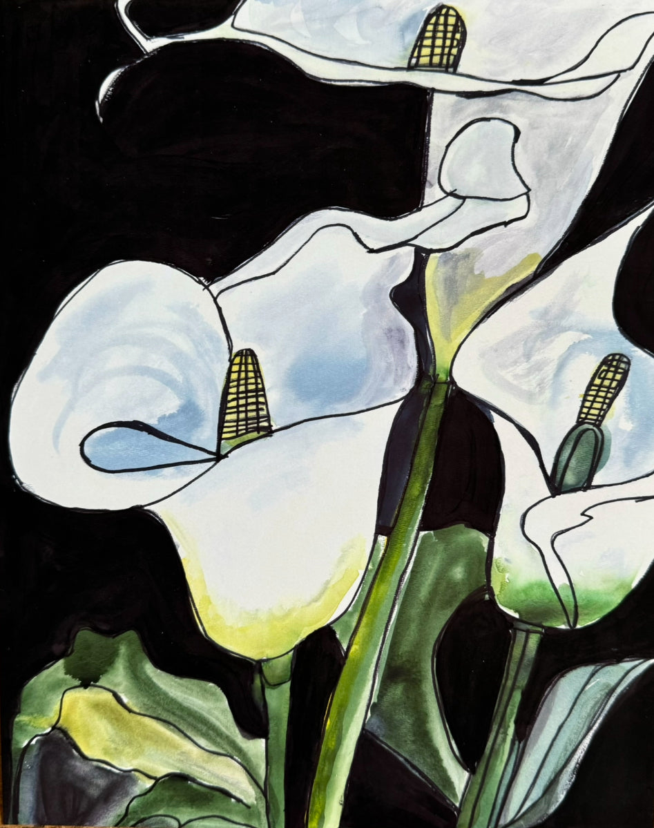 White Calla Lillies - Art Prints