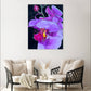 Pink orchid - Art Prints