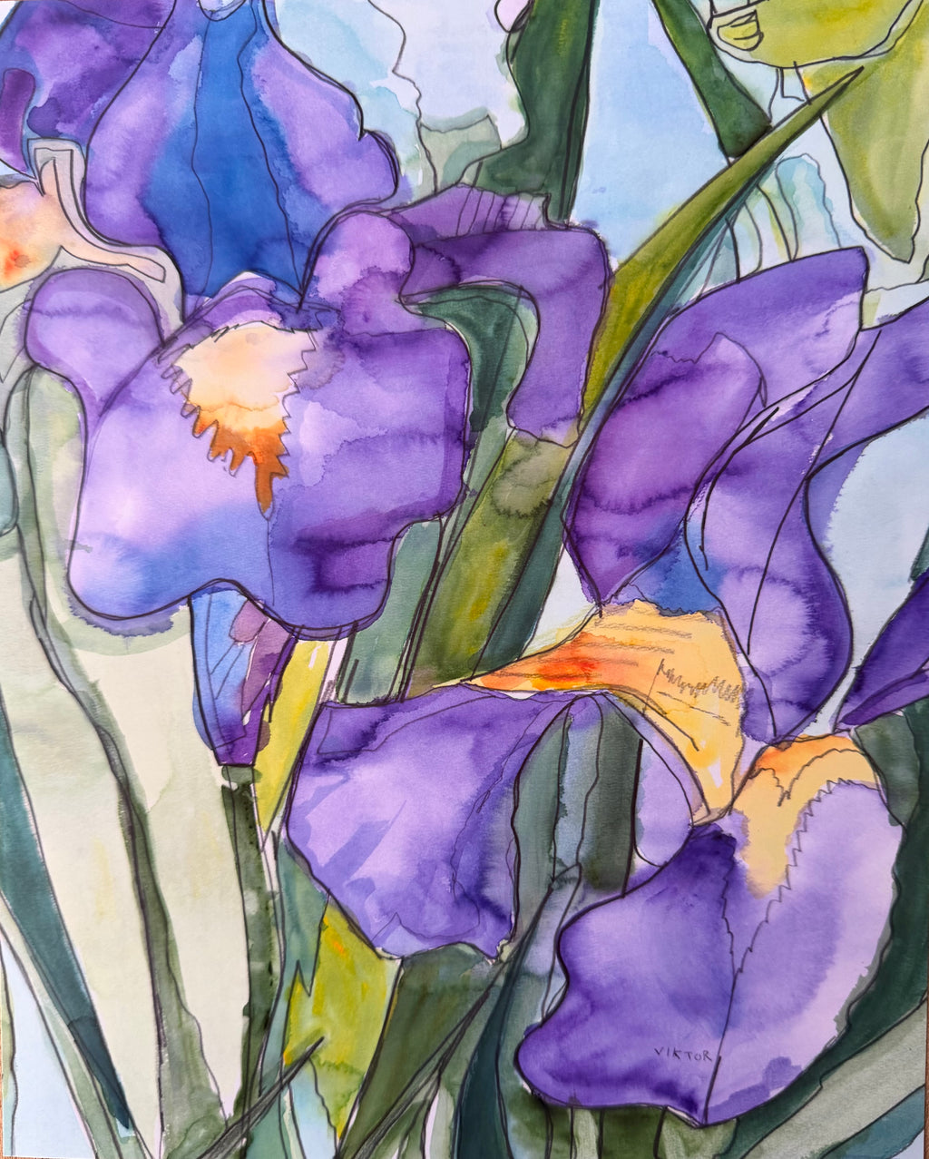 Purple Iris - Art Prints