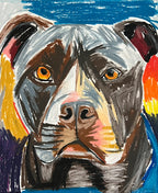 The Pit Bull - Art Prints