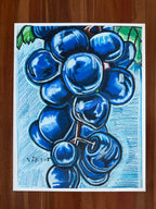Blue Grapes in Abundance - ORIGINAL OIL PASTEL ARTWORK - 19x24" (video attached)