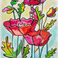 Poppy flower - Art Prints