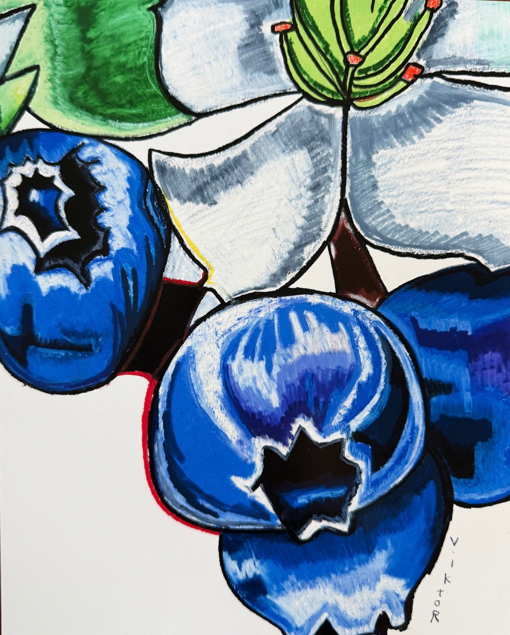 Blueberries - Art Prints